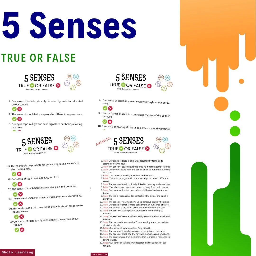 Explore the 5 Senses with Fun Crossword Puzzles for Kids